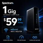 Internet 1Gig (1024Mbps)